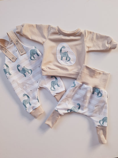 Set Größe 62/68 kleiner Dino