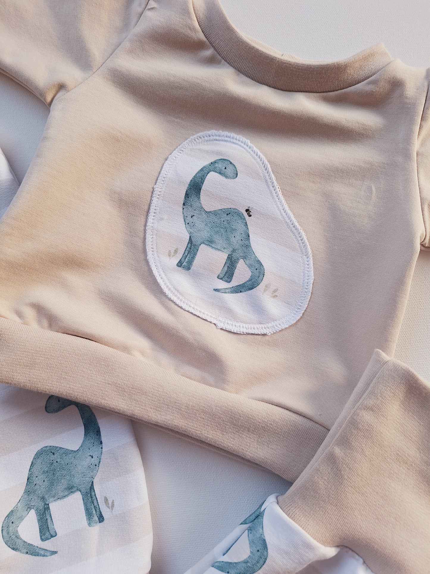 Set Größe 62/68 kleiner Dino