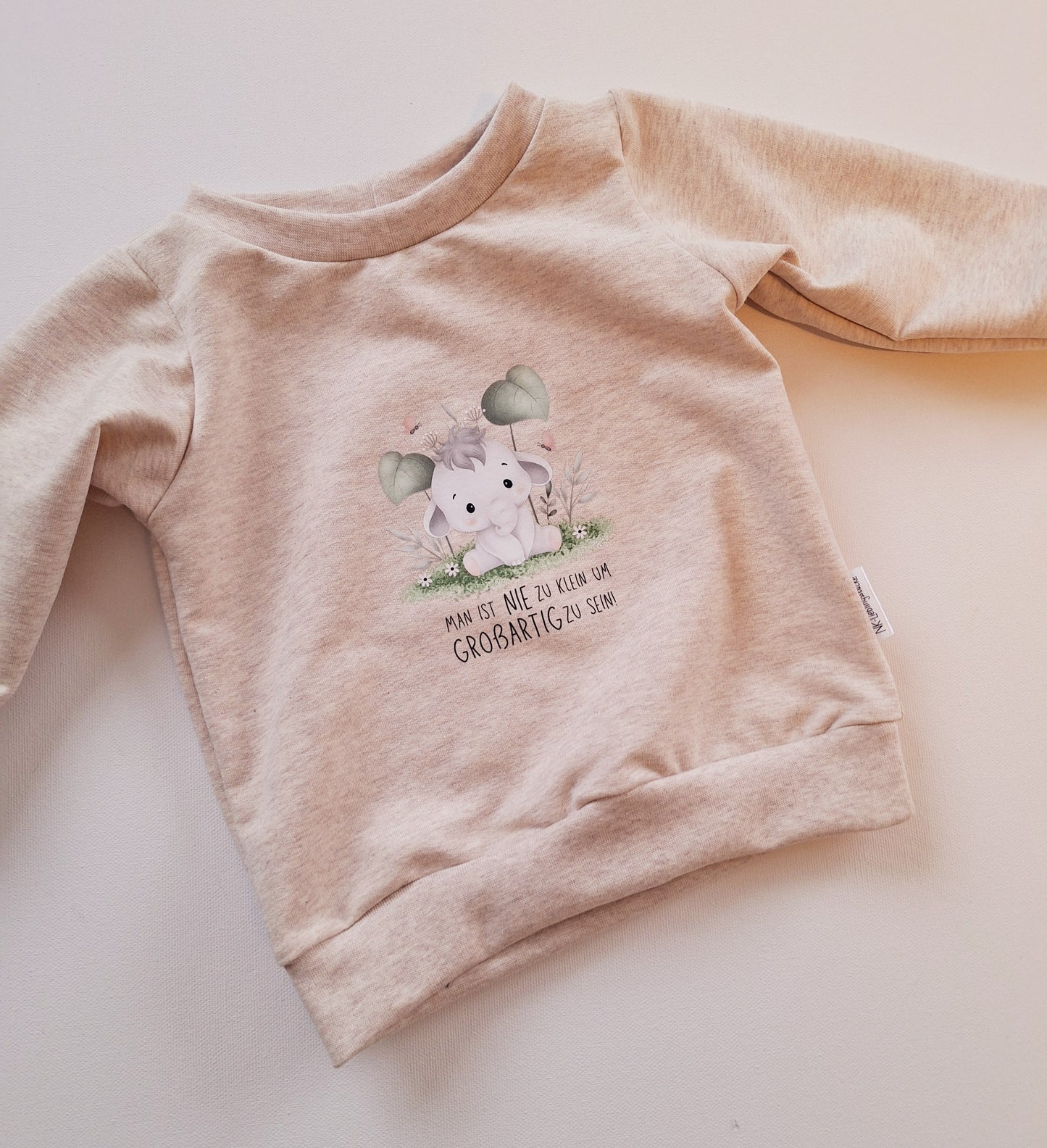 Sweater mit Bügelbild (verschiedene Designs)